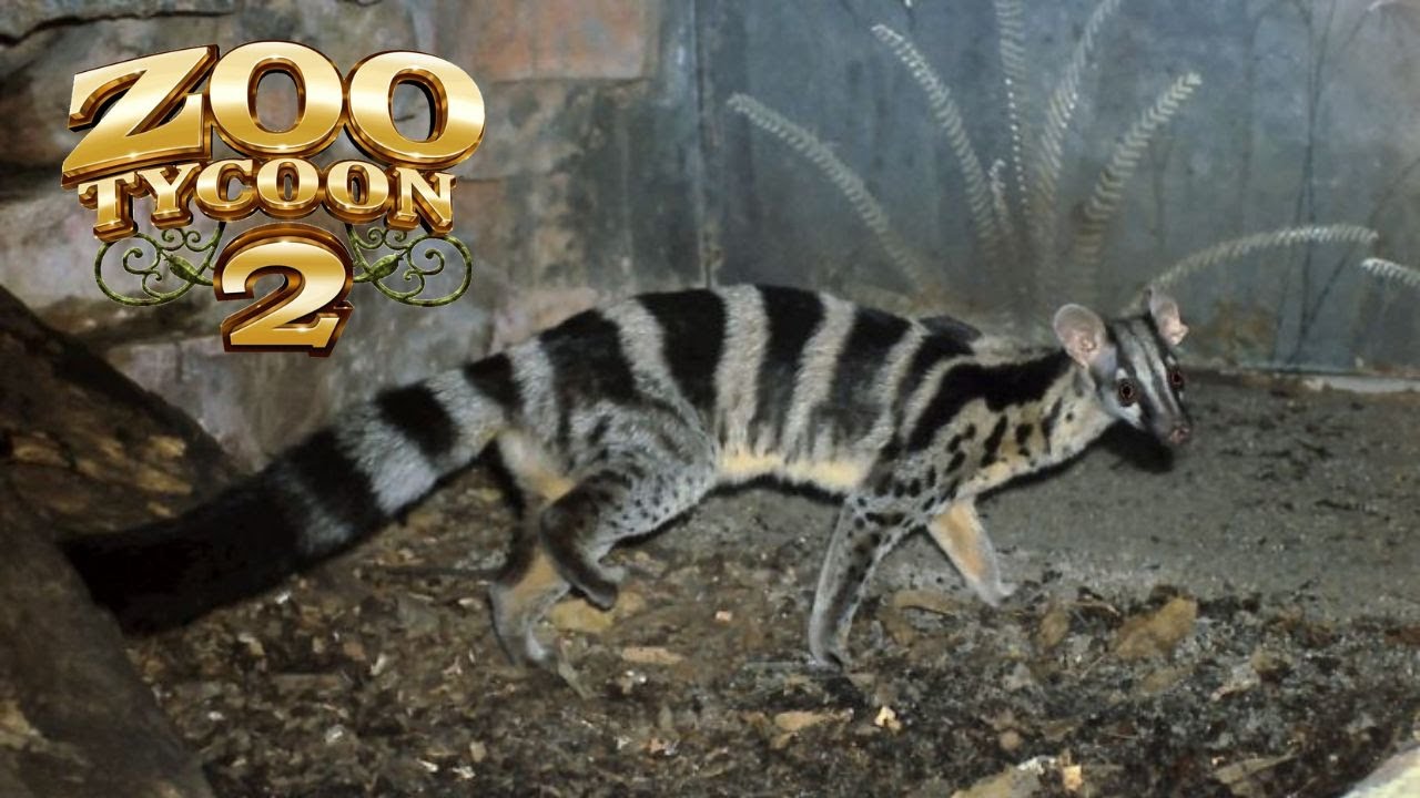Zoo Tycoon 2 - Owston's Palm Civet Exhibit SPEEDBUILD