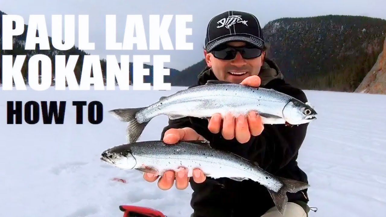 Kokanee Salmon Ice Fishing in British Columbia