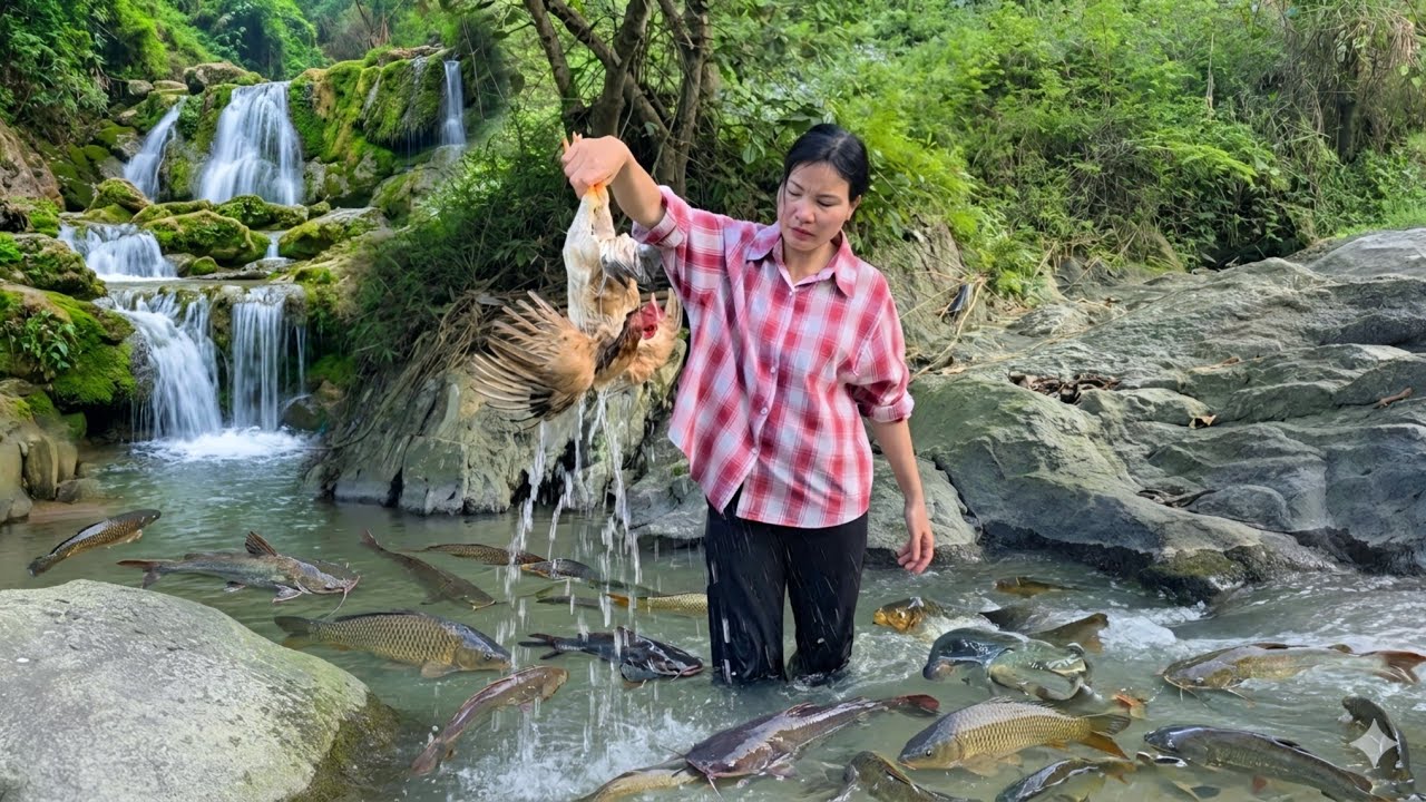 The single mother performed a wonderful act in the forest to help others
