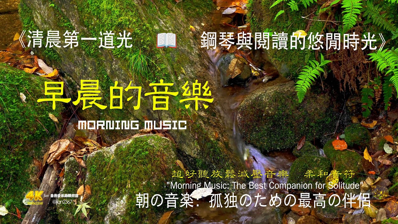 清晨第一道光 📖 鋼琴與閱讀的悠閒時光 #清晨音樂 #冥想 #睡眠音樂 #輕音樂 #自然聲音#溪流聲 #放鬆 #空靈音樂 #心靈音樂 #深呼吸 #心靈療癒#清晨音樂
