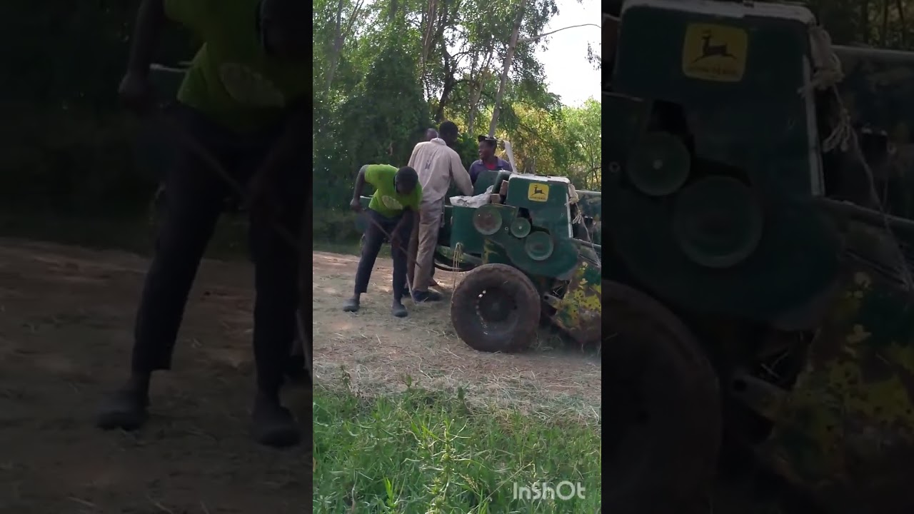 February 12, 2026  Do You  Know What Happened After Harvesting The Rice??