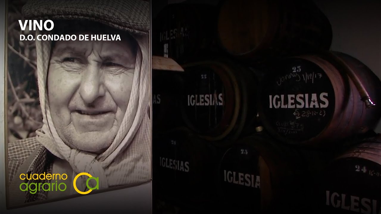 Vinos de la Denominación de Origen Condado de Huelva