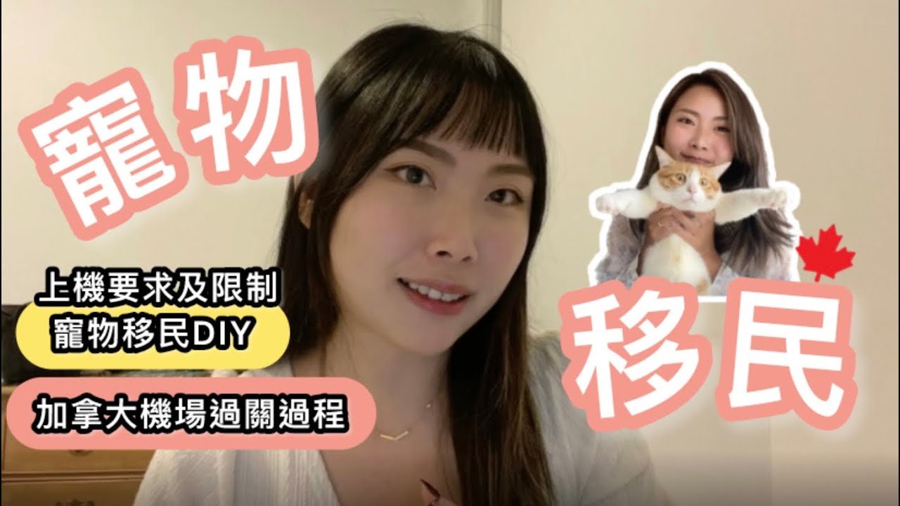 《🇨🇦寵物移民加拿大》：機場過關過程｜航空公司要求及限制｜寵物移民DIY | 我們的貓咪差點上不了機！｜OWP | Stream B的路上| Crystal桃桃