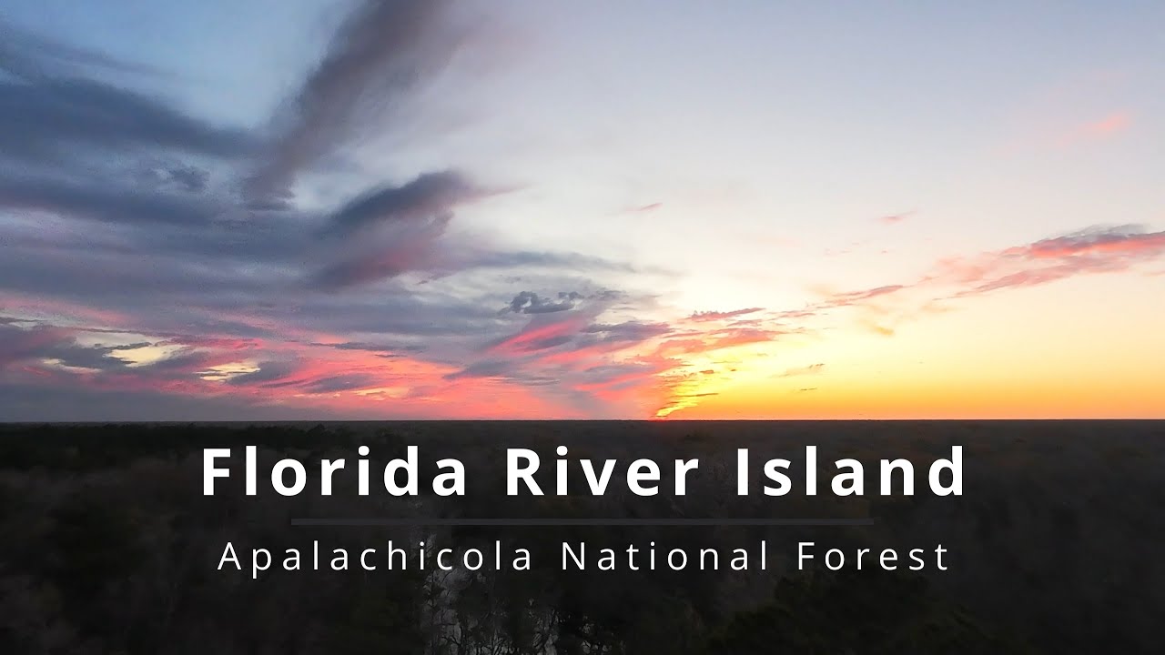 Camping Florida River Island - Apalachicola National Forest