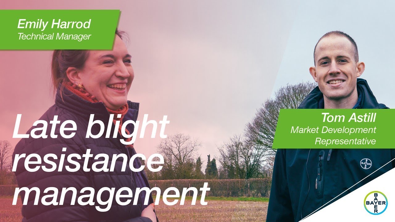 Potato Blight: Managing fungicide resistance in the UK