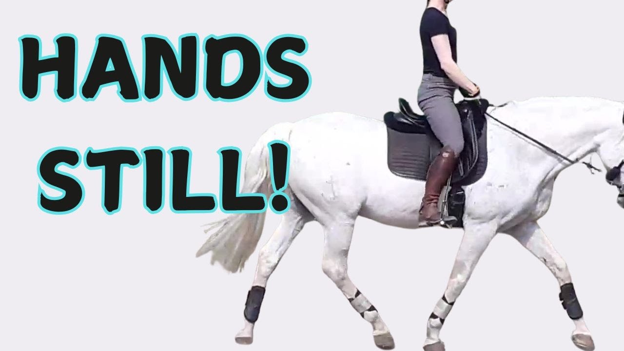 How To Keep Your Hands Still in Rising Trot?