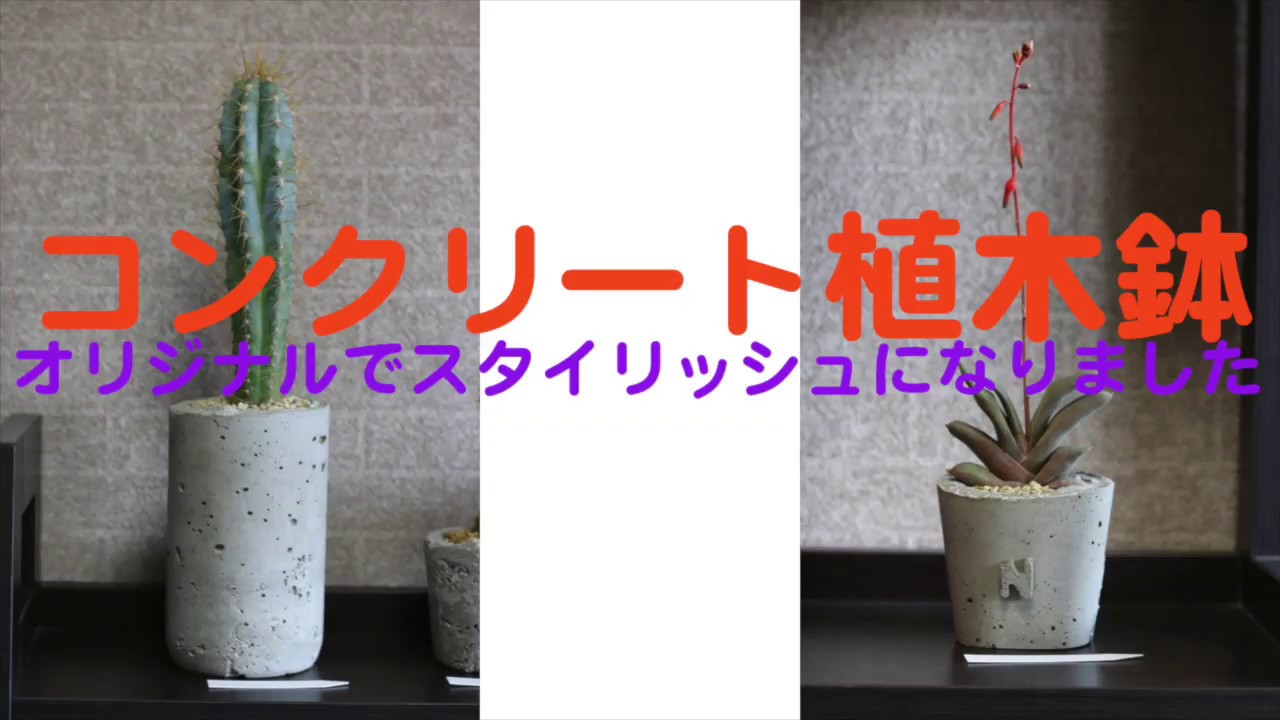 【DIY】植木鉢／コンクリート（セメント）鉢の作り方