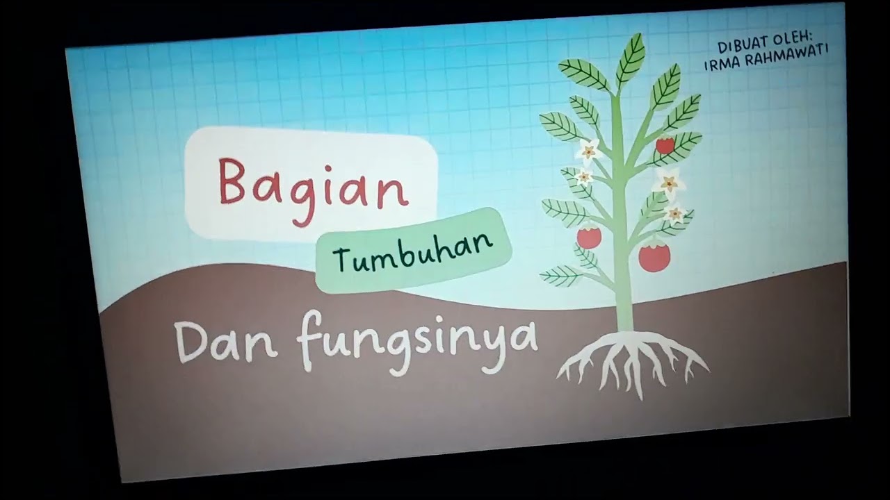 PAS multimedia pembelajaran 
