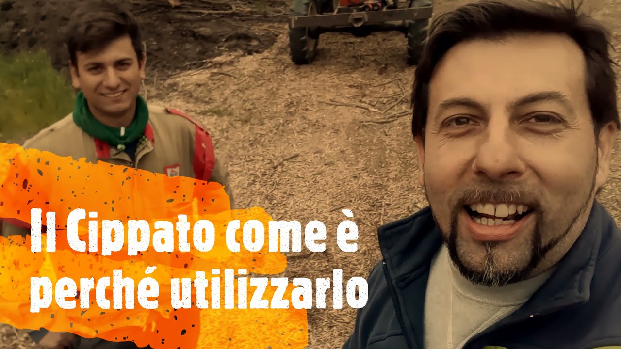 Il Cippato, come e perch&egrave; utilizzarlo