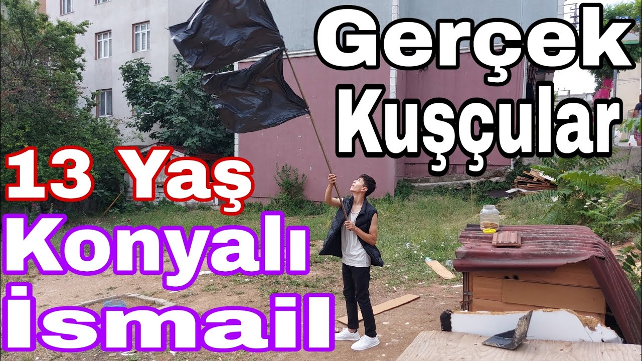 Gerçek Kuşçular. 13 Yaş Konyalı İsmail. Darıca Oyun Kuşu Kümesleri. Darıca Taklacı Güvercin.