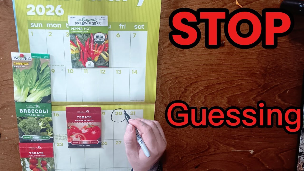 DIY 2026 Seed Starting Calendar (Zone 6b)