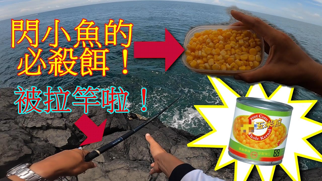 【澎湖本島】用玉米粒釣魚？！原來閃小魚這麼簡單！拉竿啦！【澎湖磯釣】【大緯釣魚趣】