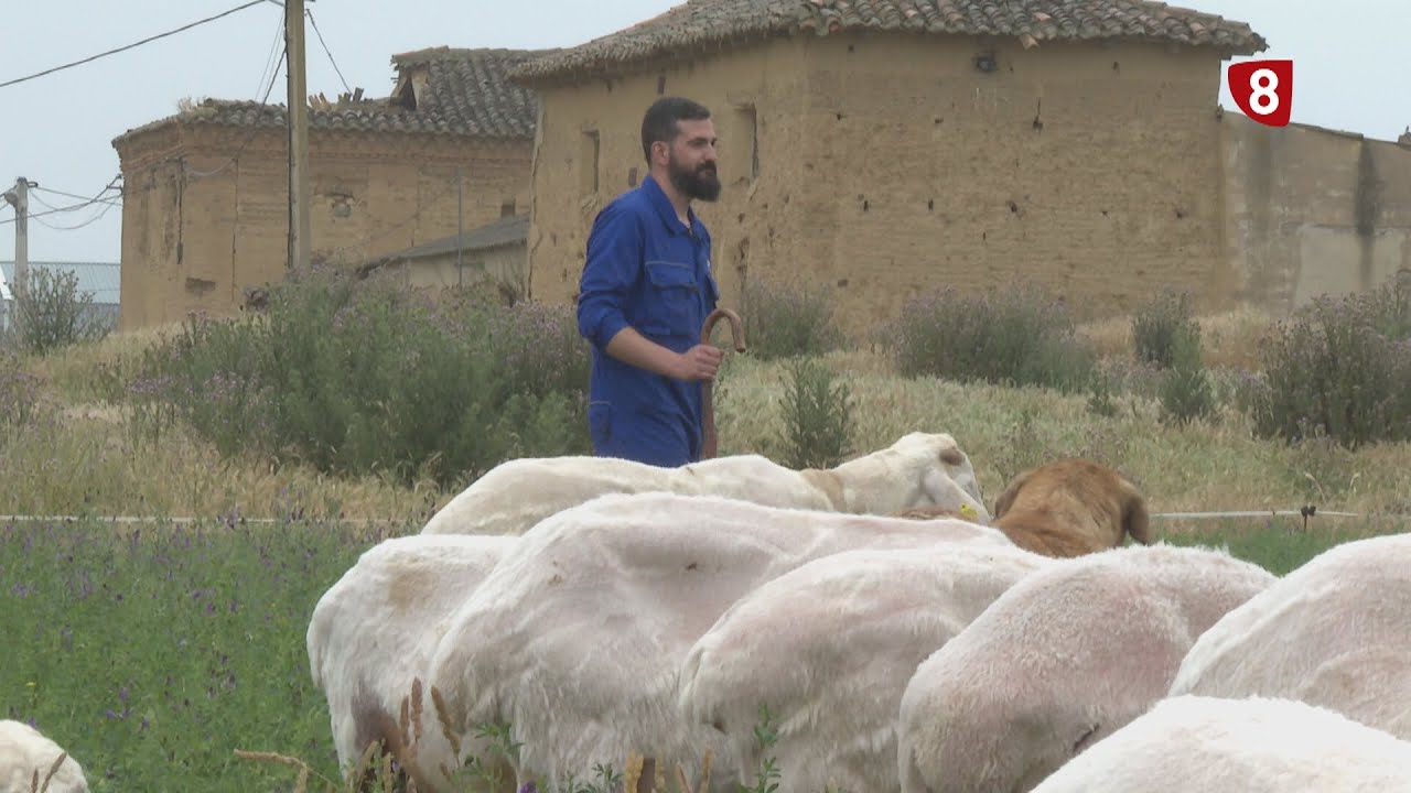 De Madrid a Villamorco