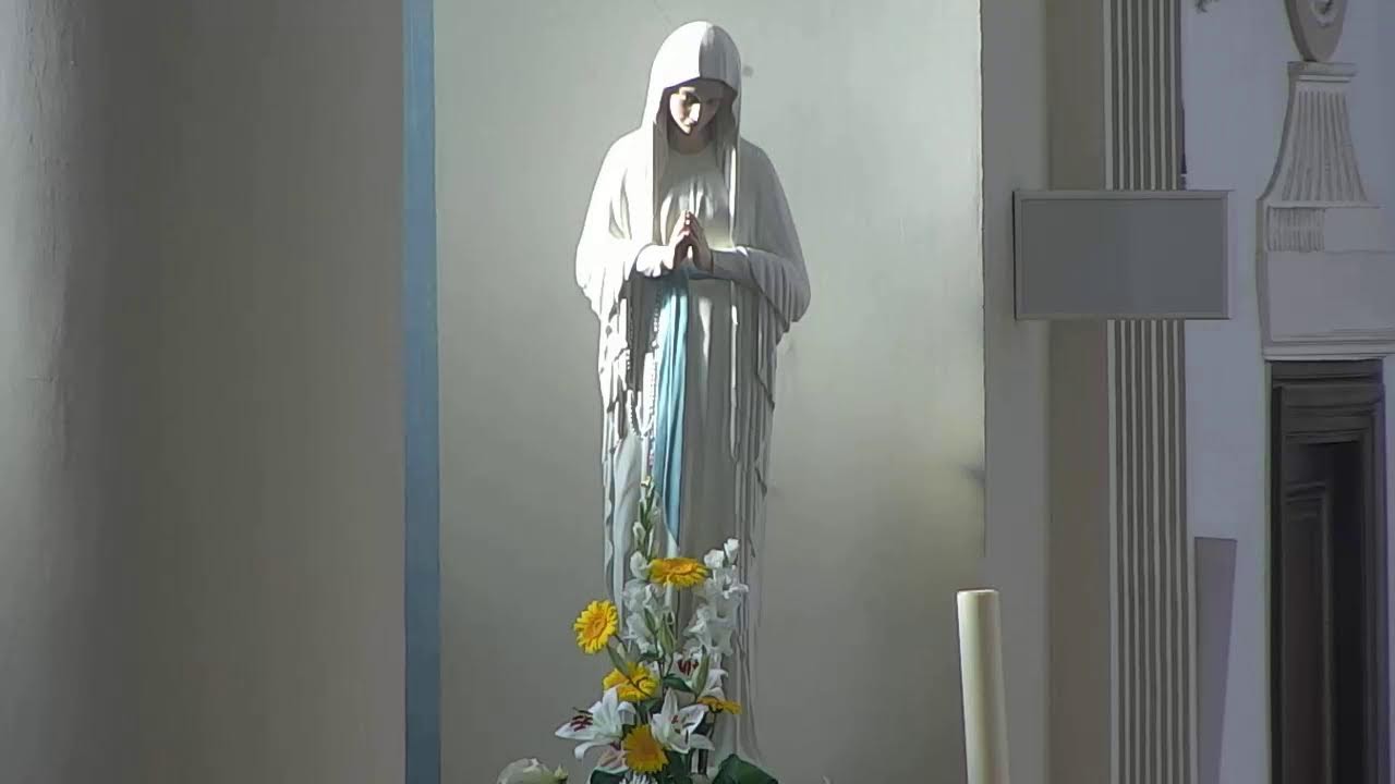 Priesterwijding Bart Pluymers