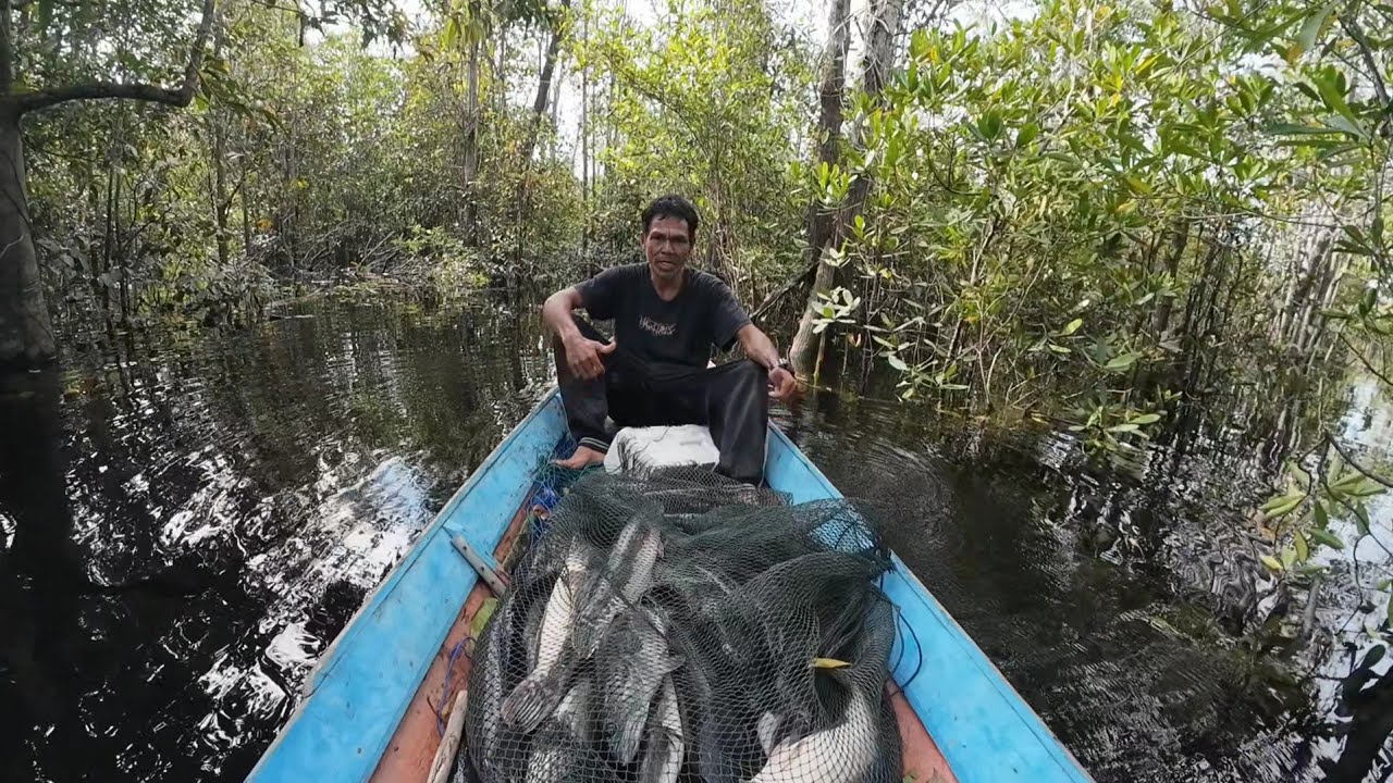 REJEKI SAAT AIR DALAM TOTALNYA 20 EKOR IKAN TOMAN