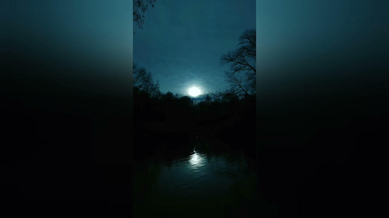 Videos for deep sleep and recuperation