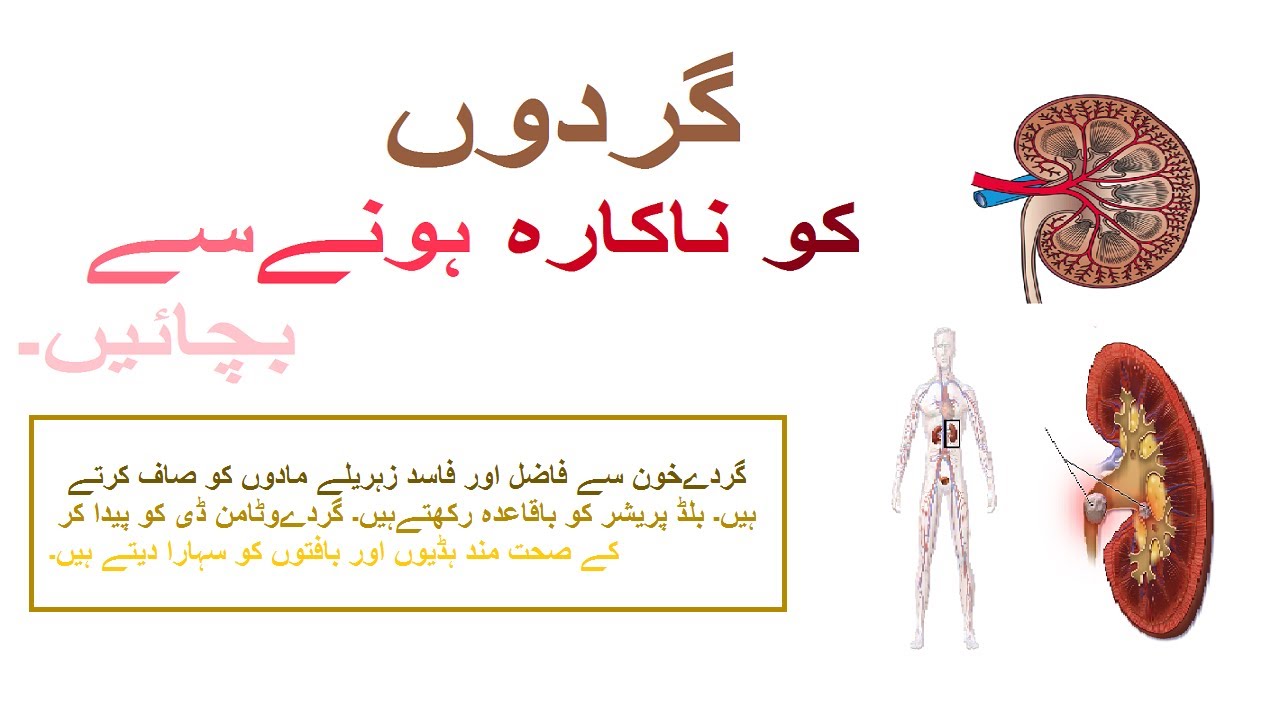 Gurdo Ko nakara hony sy bachain/protect your kidneys from failure/save kidneys from being worthless