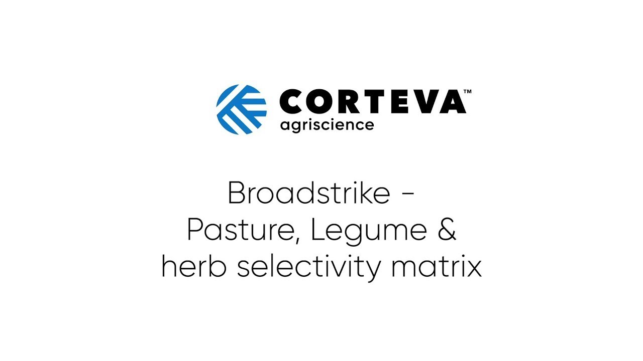 Broadstrike herbicide   Pasture & legume selectivity matrix