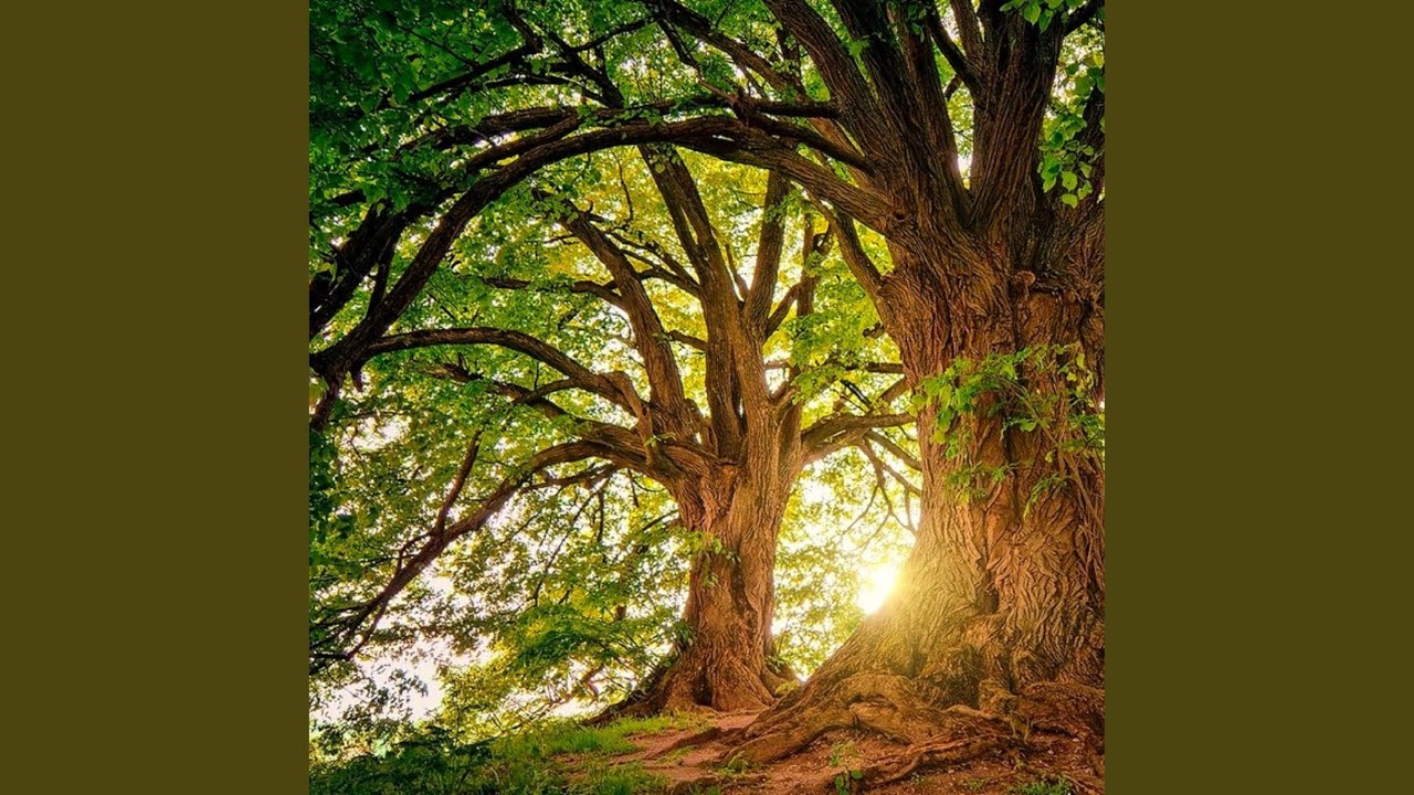 nature inspiration (Instrumental Version)