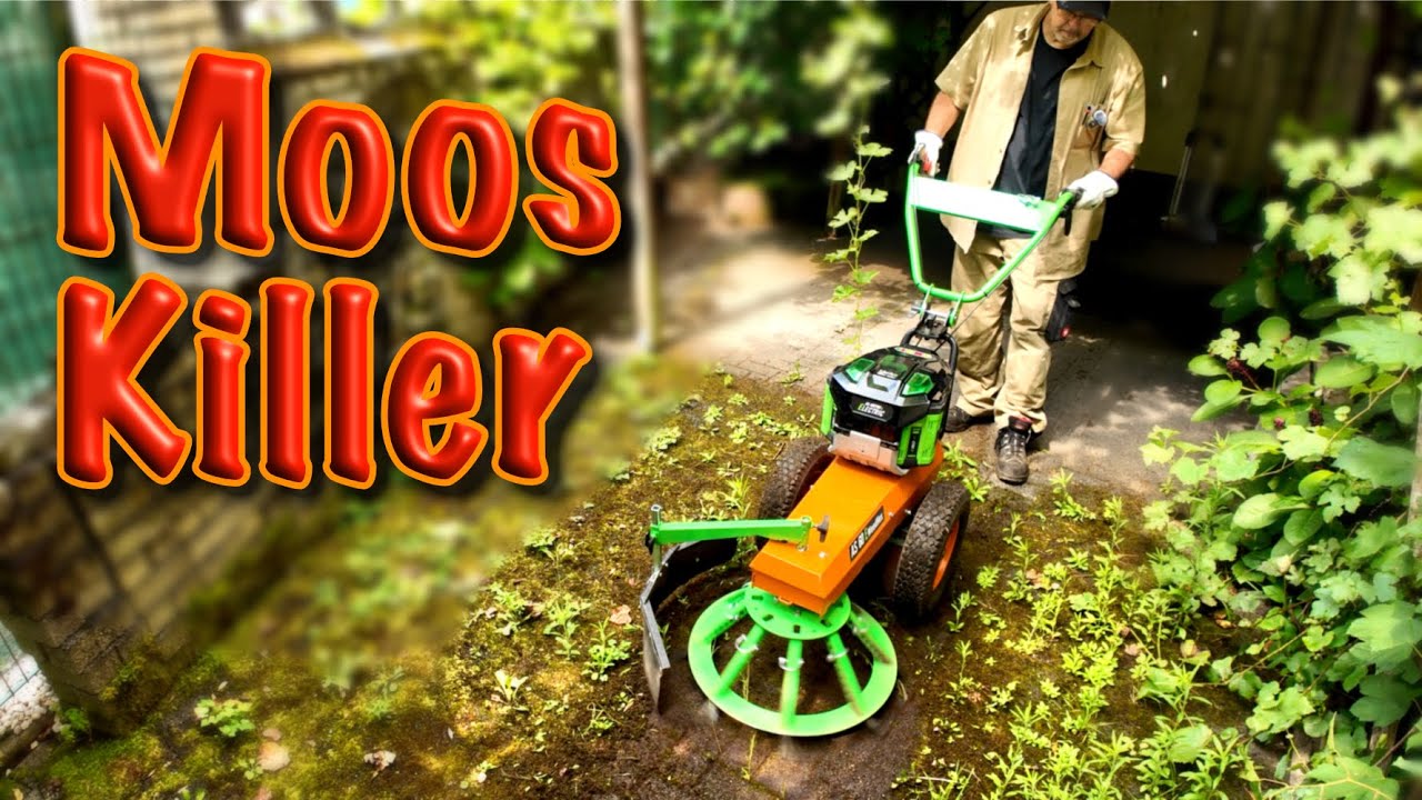 Moos Killer AS Motor Weed Hex 60 Wildkrautbürste