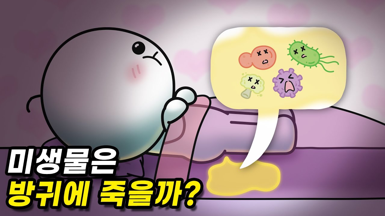 침대에 누워 방귀 뀌면 시트에 있는 미생물들이 죽을까?