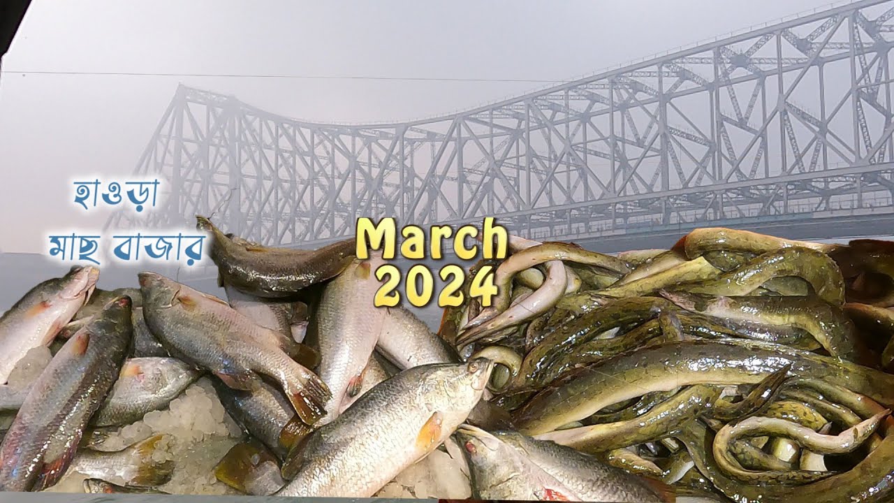 হাওড়া মাছের বাজার 2024 || Kolkata fish price || हावड़ा मछली बाज़ार  #fishmarket #kolkata #howrah
