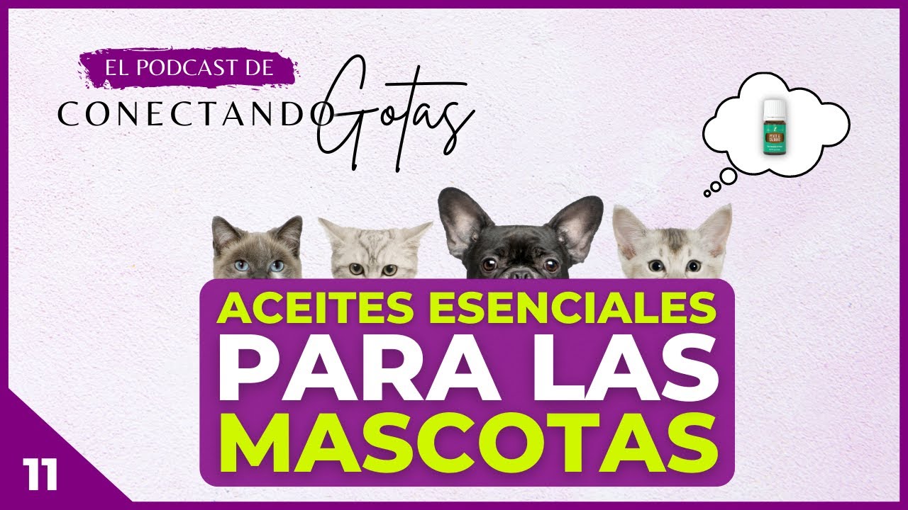 Así Puedes Usar Aceites Esenciales en Perros y Gatos | E11
