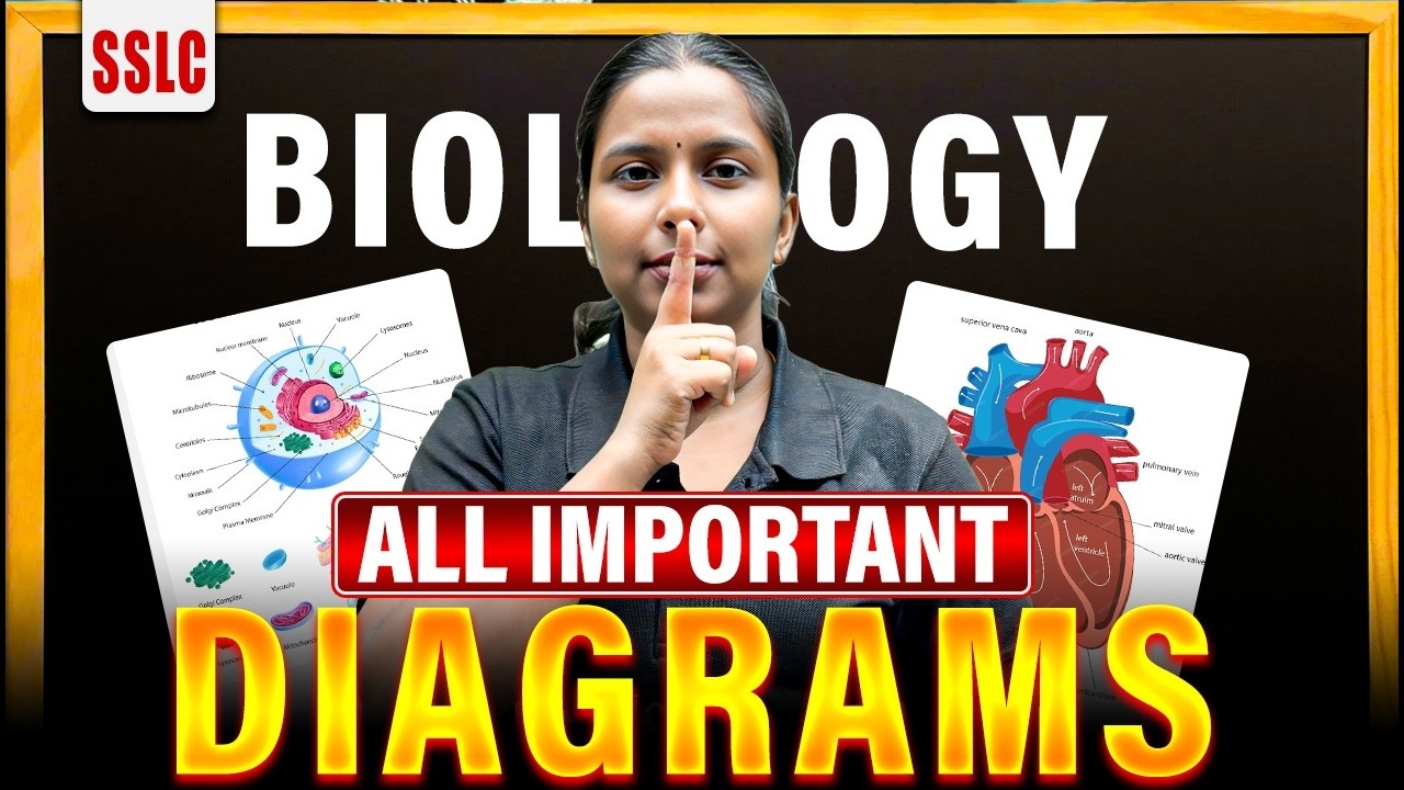 SSLC Public Exam | Biology All Important Diagrams | PW Kerala