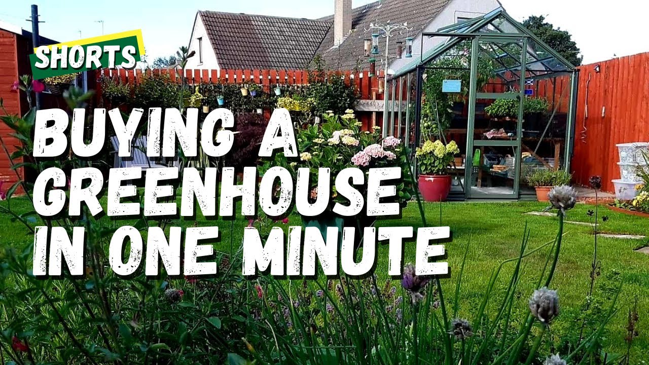 Buying a greenhouse in one minute - The Kitchen Garden with Eli and Kate #shorts