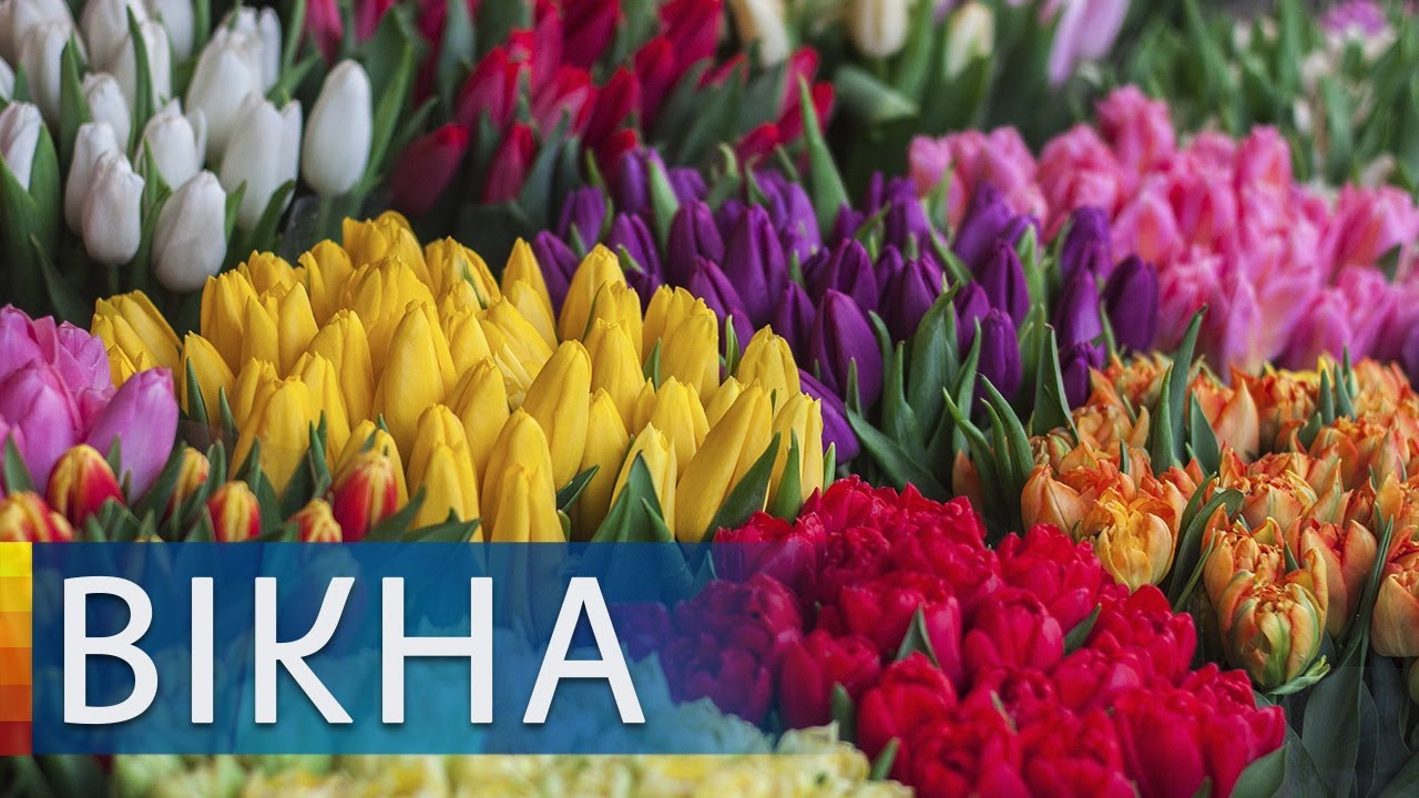 8 МАРТА В УКРАИНЕ: как выбрать букет и какие цветы точно НЕ покупать | Вікна-Новини