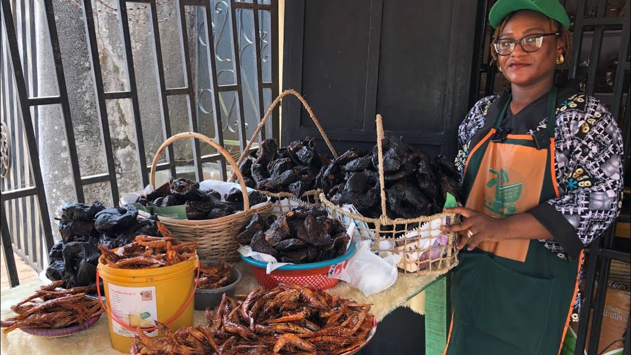 Price Of Dried Fish, Smoke Fish, Crayfish, Garri, Pepper, Rice, Beans In Benin City, Nigeria.