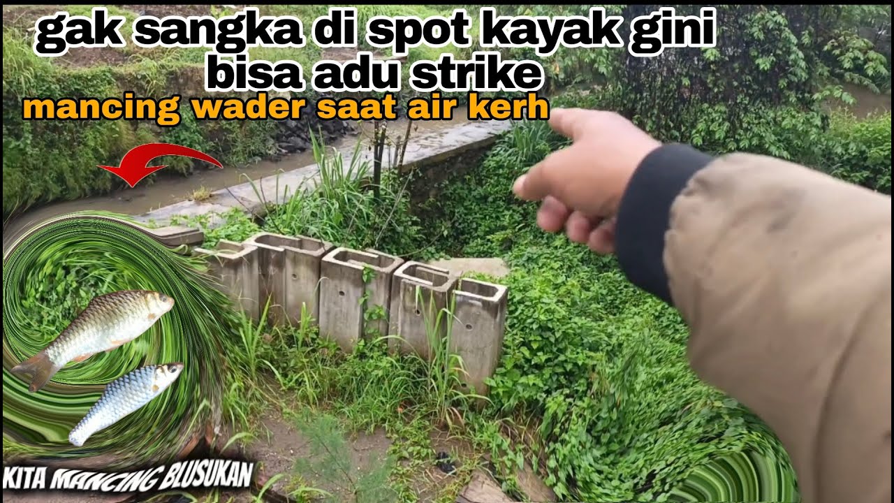 MANCING WADER|| SAMPAI ADU STRIKE DI AIR KERUH 