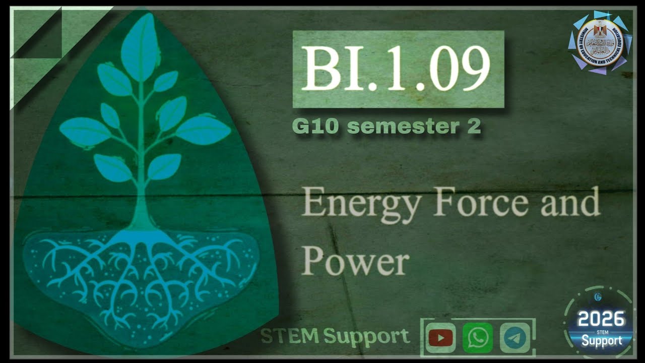 Biology LO9 | plant structure and tissues | G10 semester 2 | STEM Support
