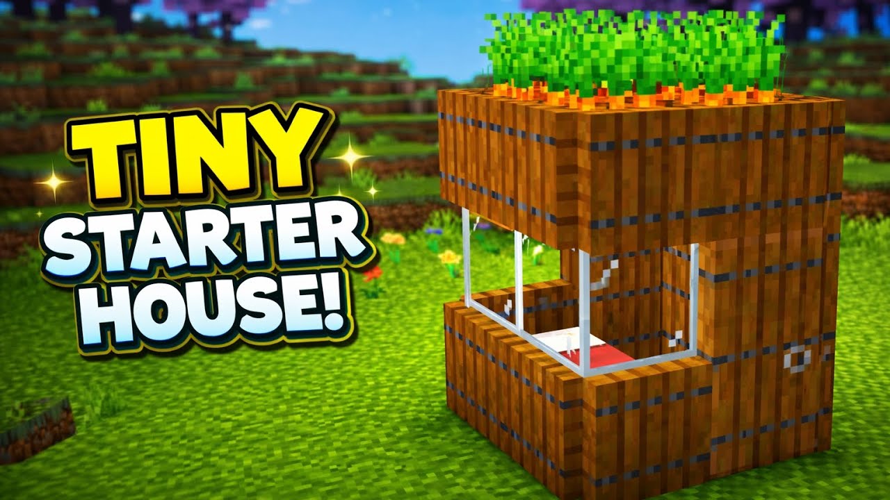 Tiny Minecraft Starter House That Looks Amazing