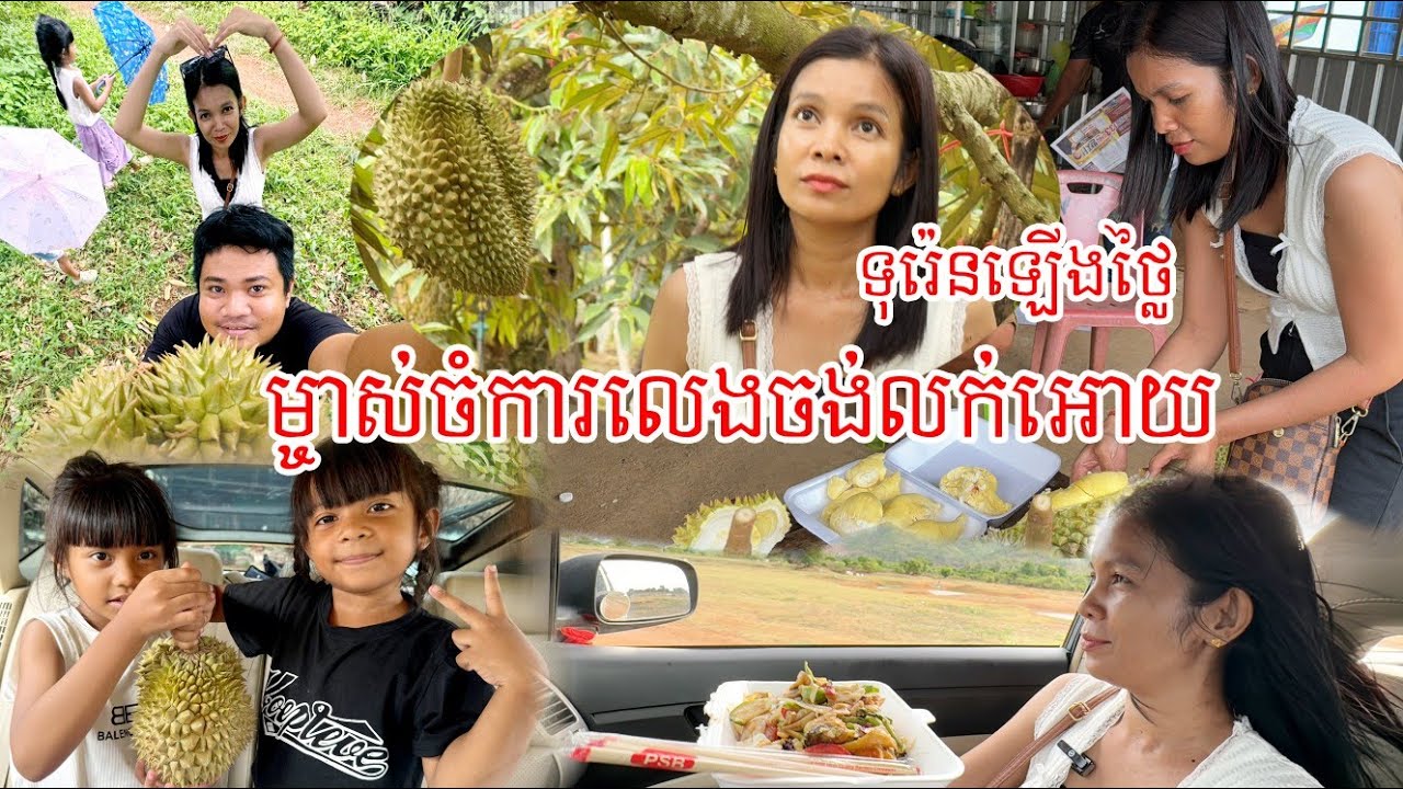 ទុរេនឡេីងថ្លៃម្ចាស់ចំការមិនចង់លក់អោយទៀត ទុរេនសំឡូតអស់ក្នុងខែ៧នេះហេីយ#travel #battambang