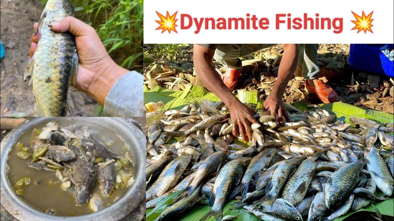 Dynamite Fishing