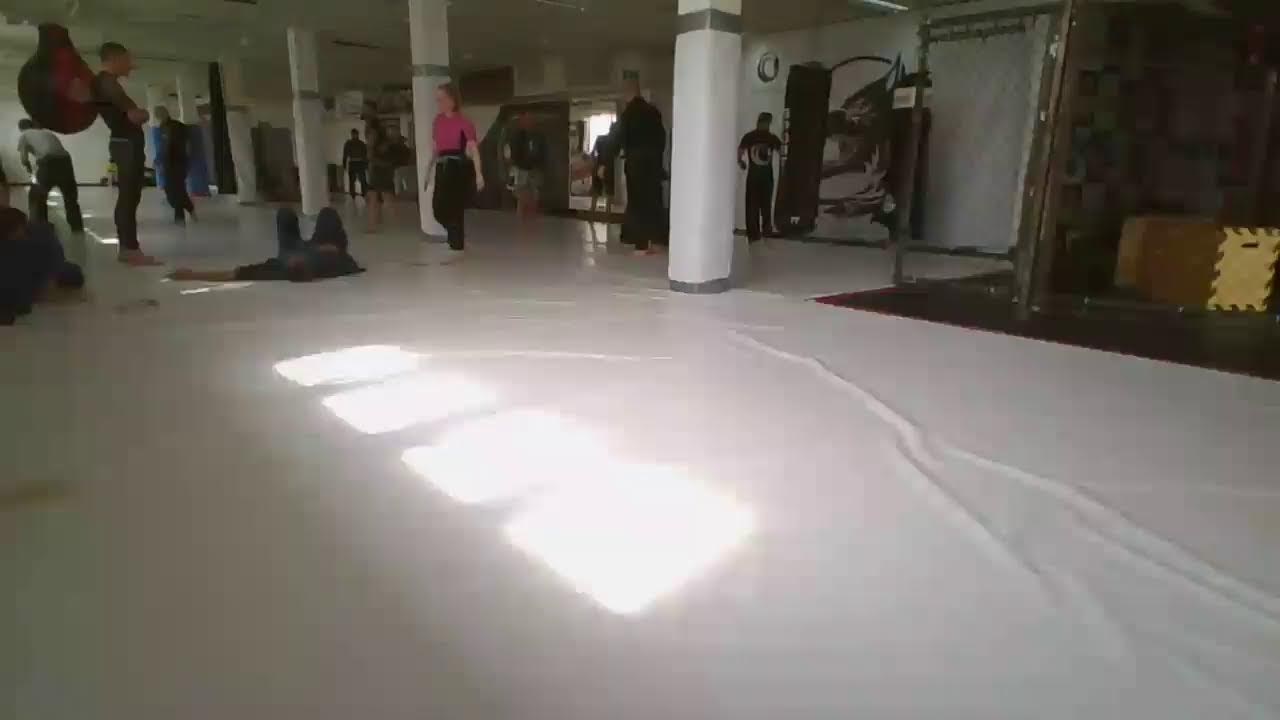 BJJ FANATICS SKILLS
