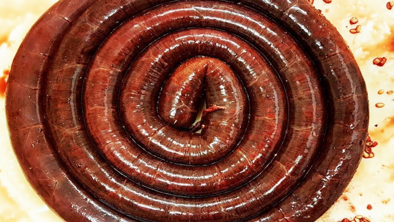 Top 10 Strange Breakfast Items You Need to Try