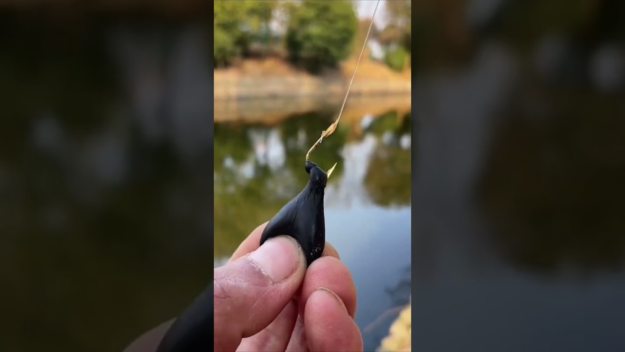 Lưỡi c&acirc;u c&aacute; ch&eacute;p phản đ&aacute;y SI&Ecirc;U HOT nhất trong năm 2025! #fishing #fishinghooks #shorts