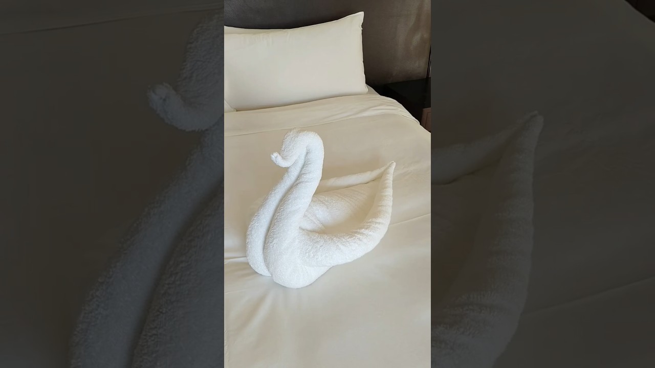 How to make towel folding swan||towel folding art||#diyviralshort