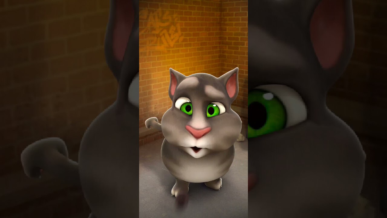 Talking Tom Cat New Video Best Funny Android GamePlay #9954