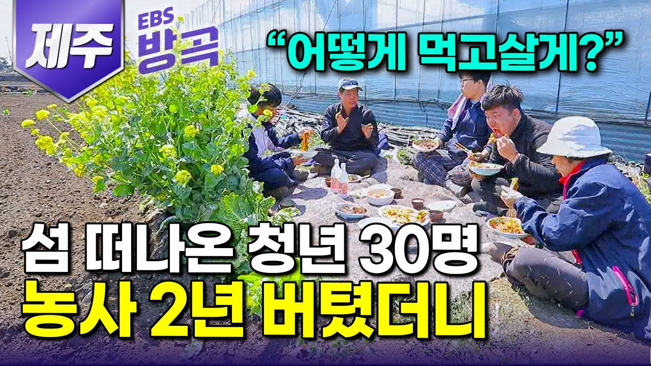 [제주] 