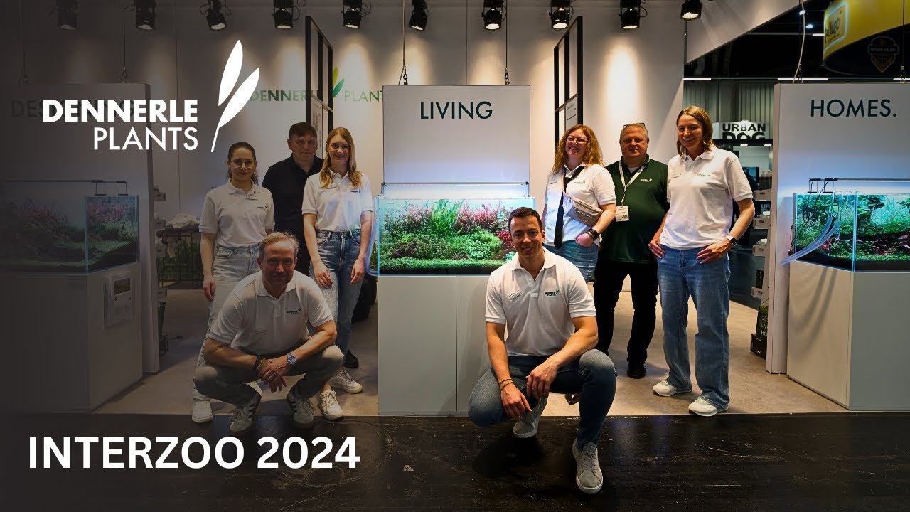 INTERZOO 2024 Aftermovie | Dennerle Plants