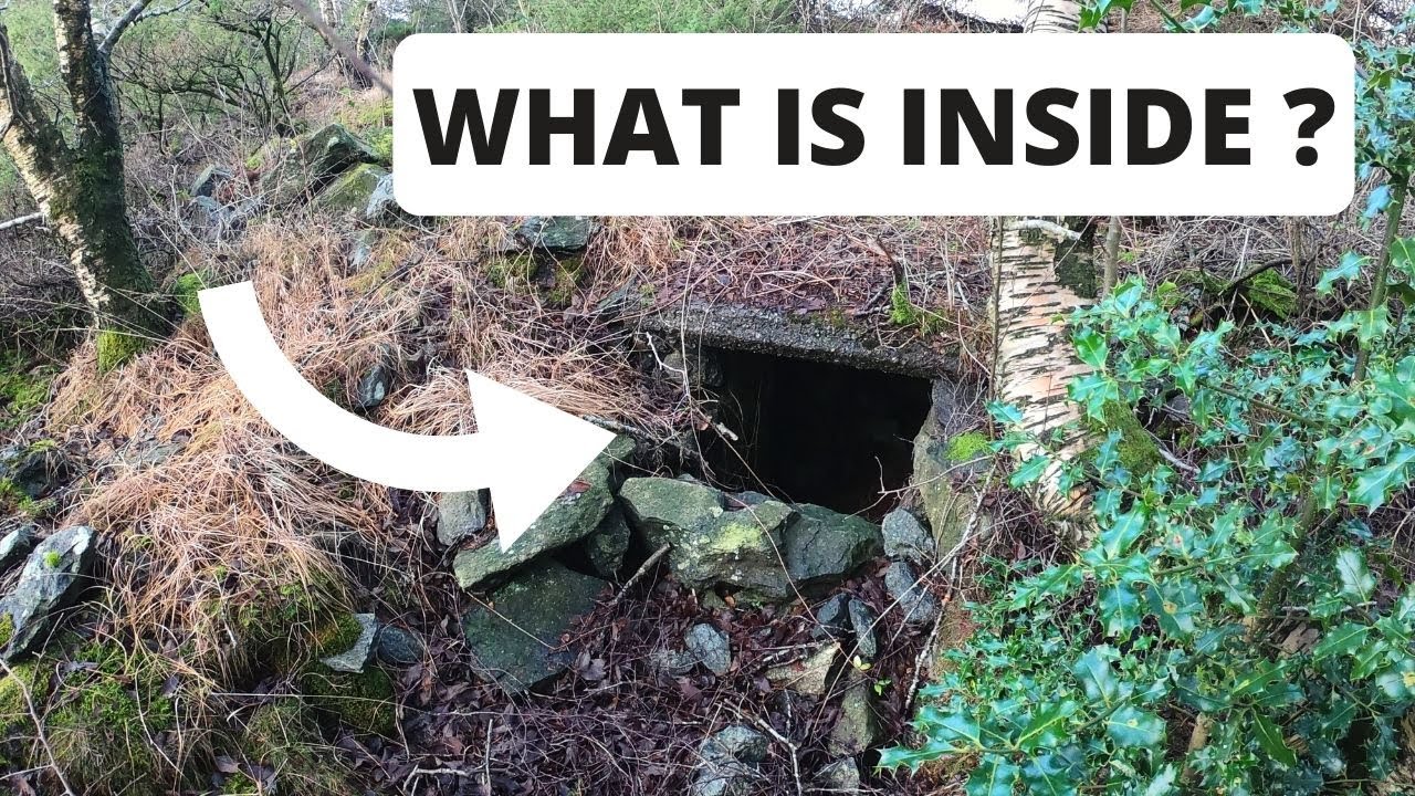 Exploring lost WW2 bunker and trenches. We found BONES inside !