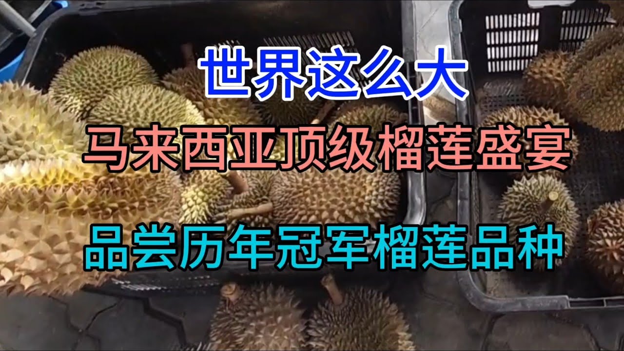 世界这么大，马来西亚顶级榴莲盛宴，品尝历年冠军榴莲品种，粤语中字幕2023-7-30