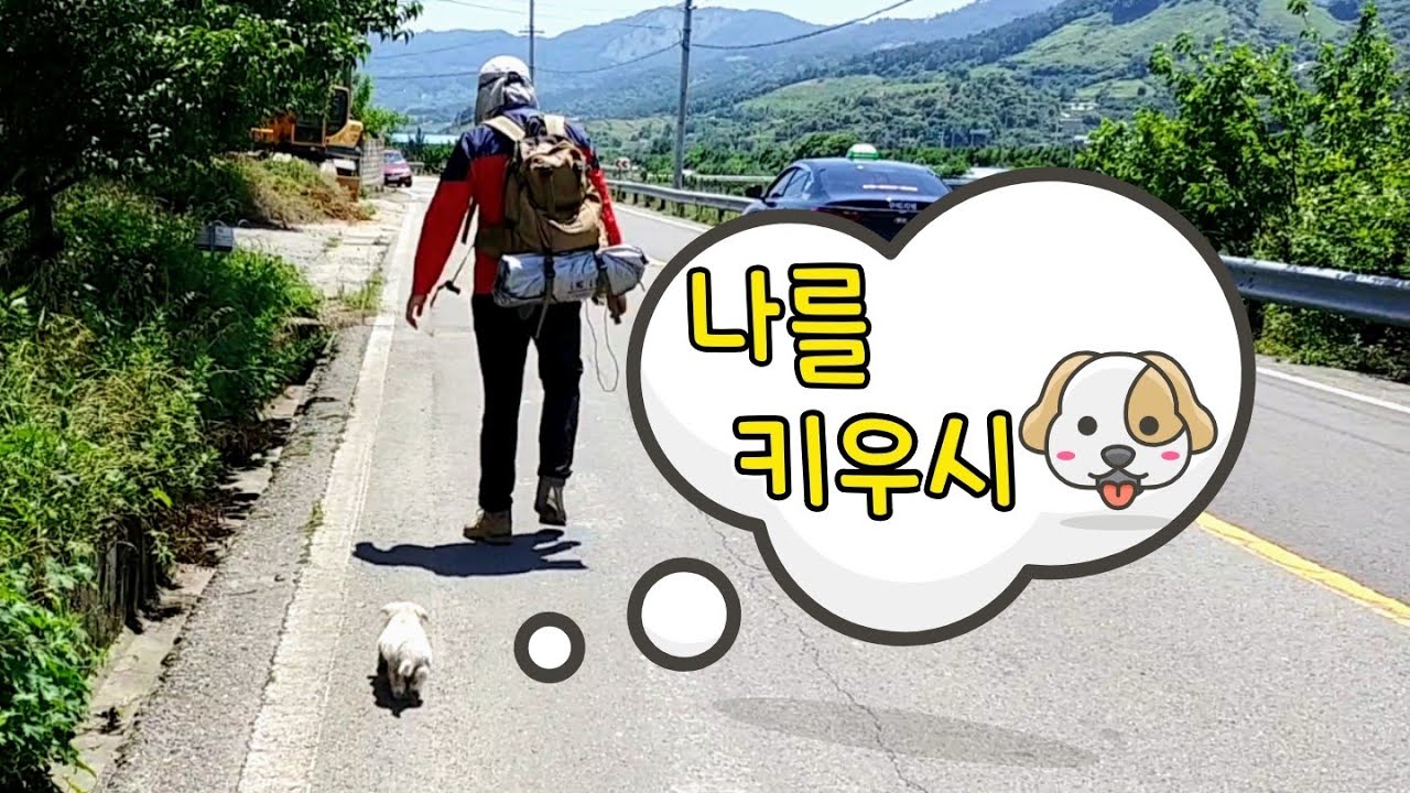 농수로에 빠진 새끼강아지 구조! 니가 왜 거기서나와?(제2편)