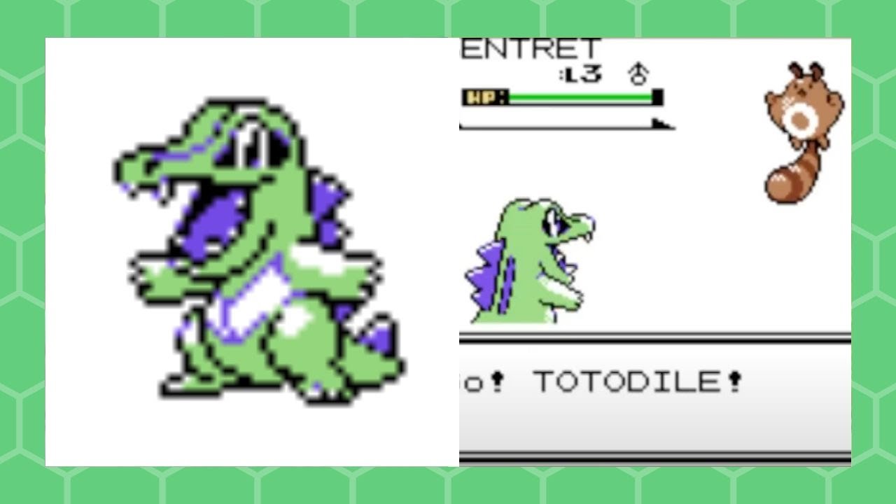 Shiny Totodile in Pokémon Gold after 5,195 Soft Resets DTQ #1