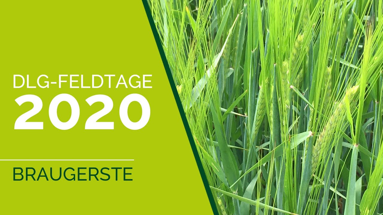 DLG-Feldtage 2020 | Braugerste