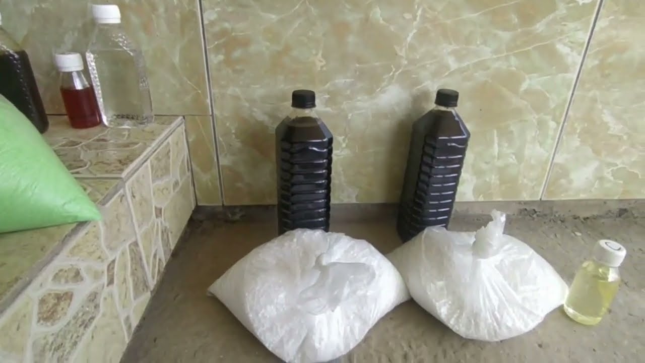 qulpnaylarga ozuqa berish jarayoni