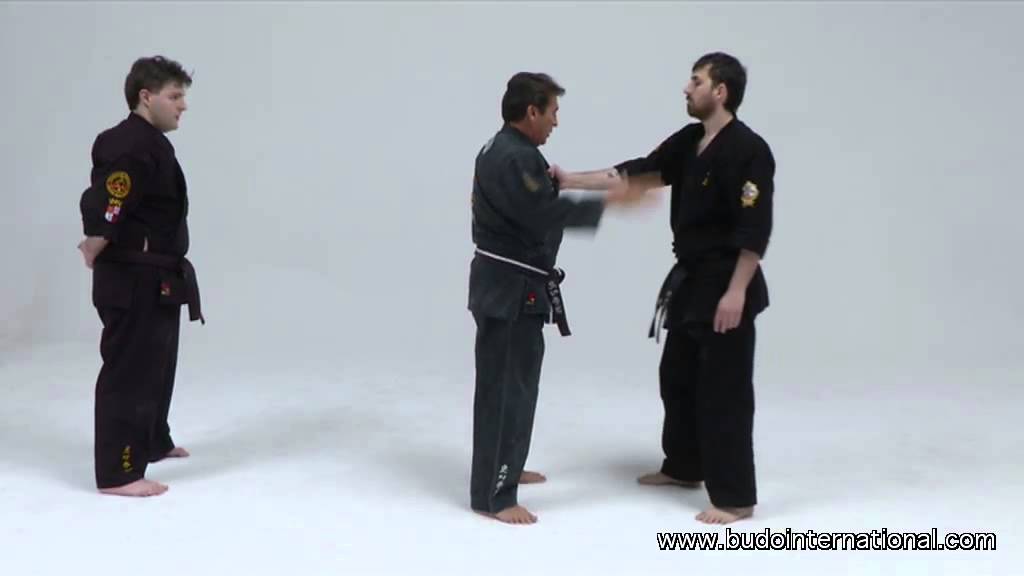 Kenpo Fu-Shih Vol 2. Tiger forms, Combat & Self Defense, by Raul Gutiérrez
